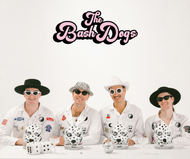 The Bash Dogs - Disco Cowboy